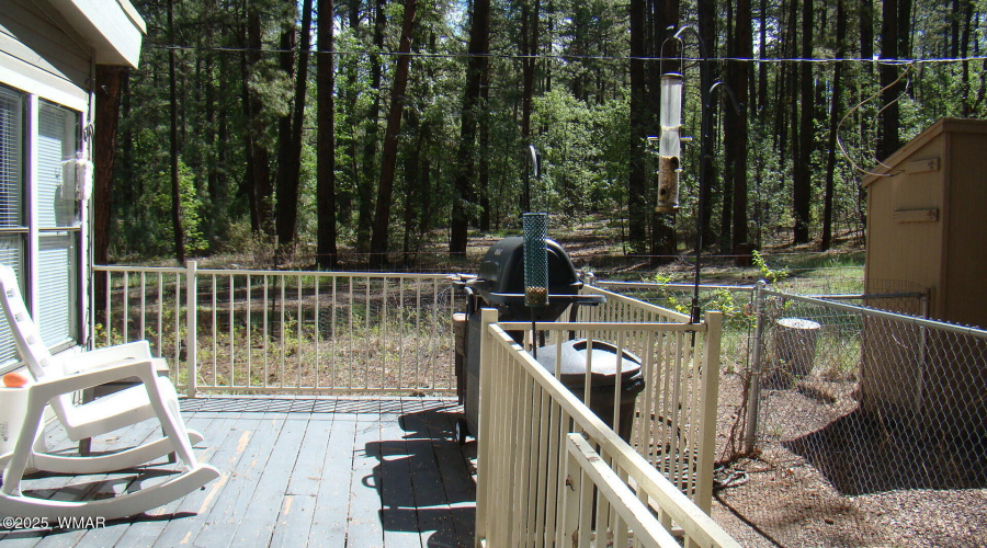 Outdoor deck BBQ