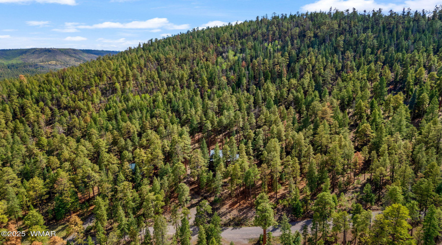 26N1068-Greer-AZ-38