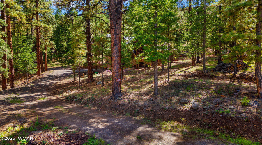26N1068-Greer-AZ-42