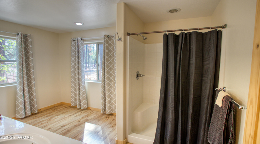 Down Stairs Master Bathroom