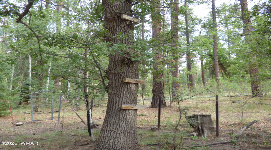 Grounds (7)