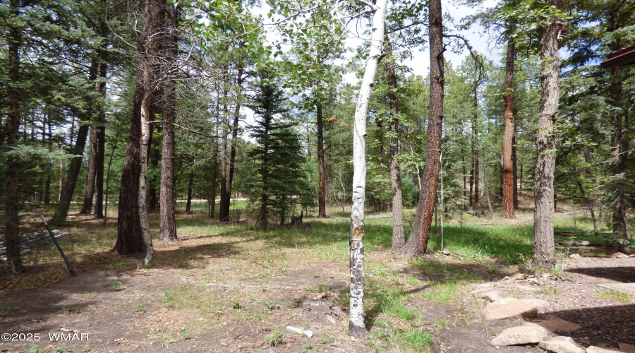 Grounds (1)