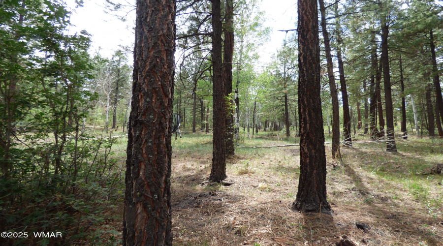 Grounds (2)