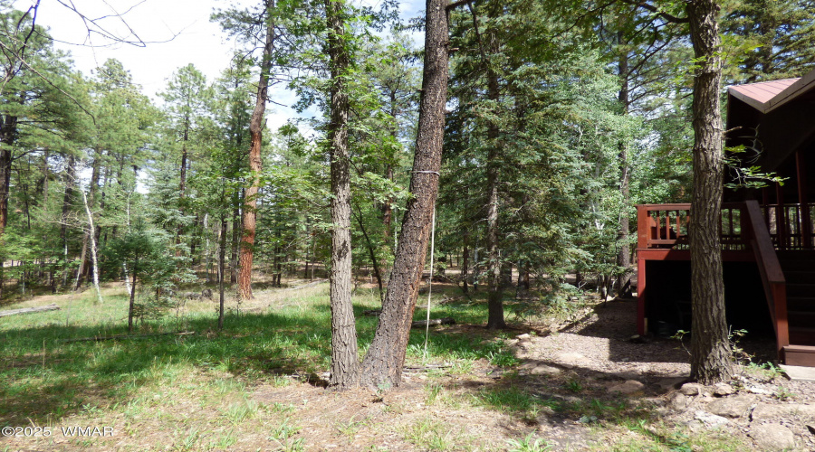 Grounds (3)