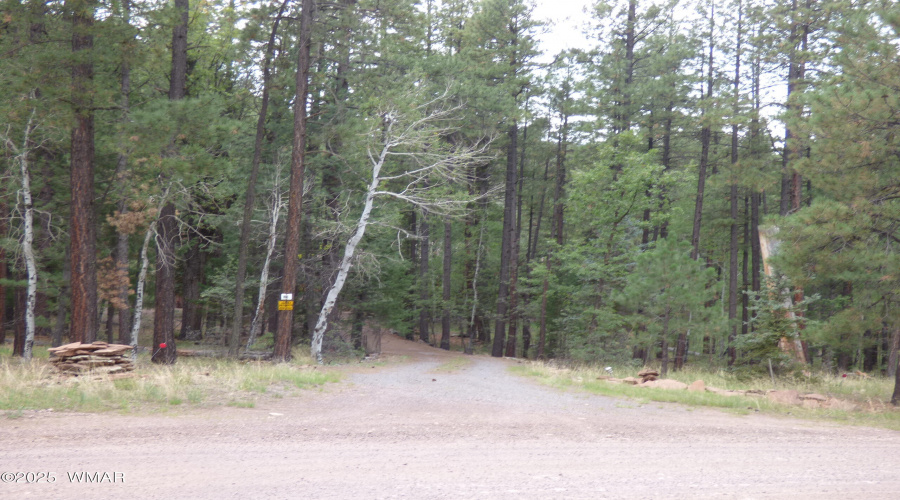 Grounds (11)