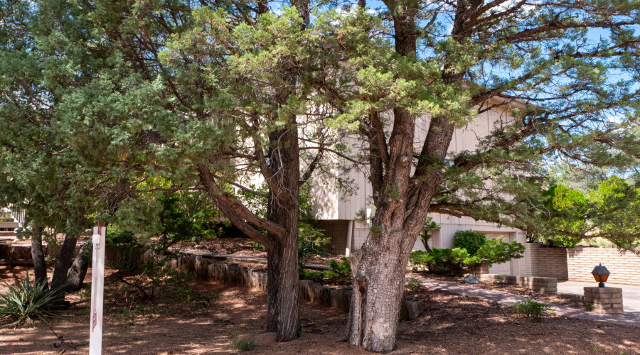 Payson Home-05