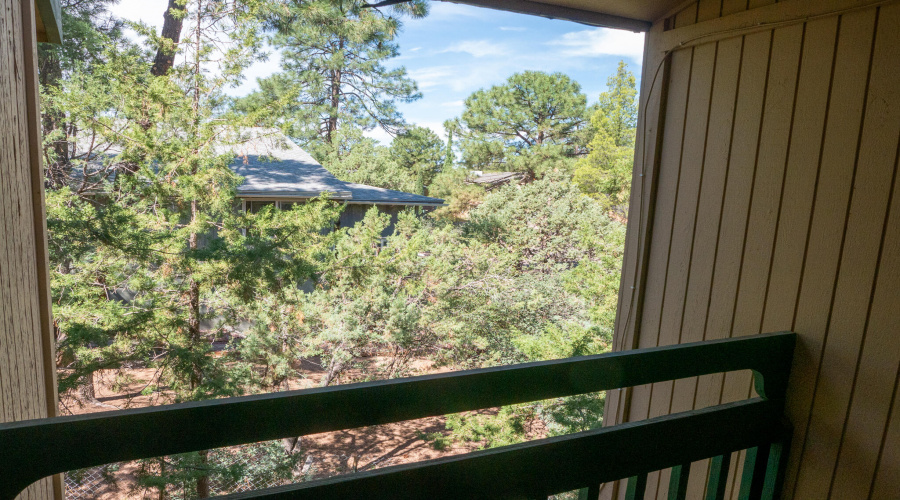 Payson Home-48