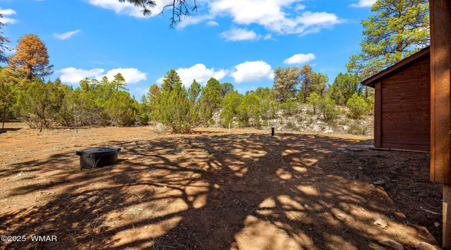 2343EDoveTrailTrl-HeberOvergaard-AZ-11