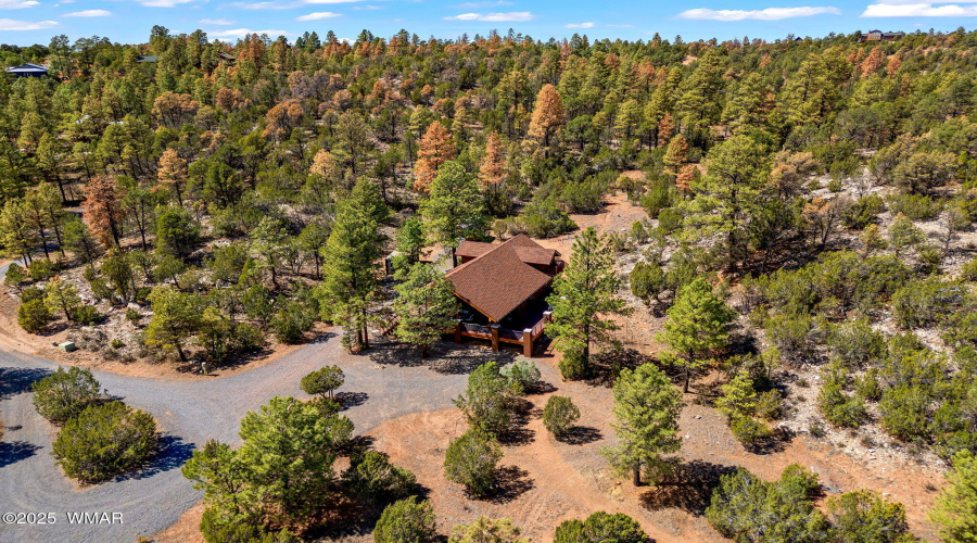 2343EDoveTrailTrl-HeberOvergaard-AZ-15