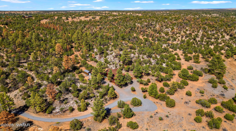 2343EDoveTrailTrl-HeberOvergaard-AZ-16