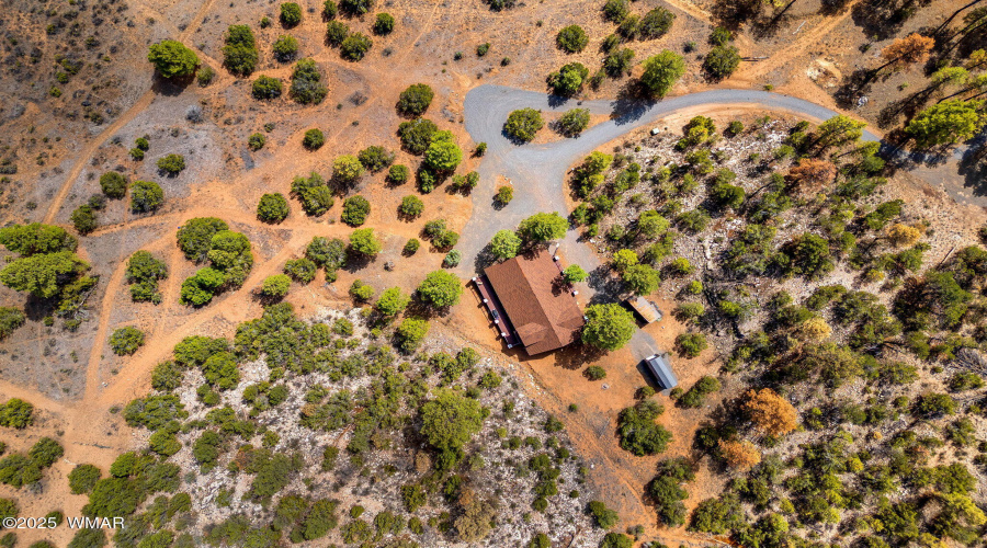 2343EDoveTrailTrl-HeberOvergaard-AZ-18