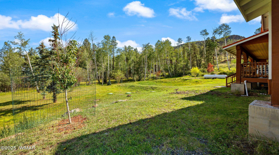 63CountyRd1121-CabinMAIN-Greer-AZ-40