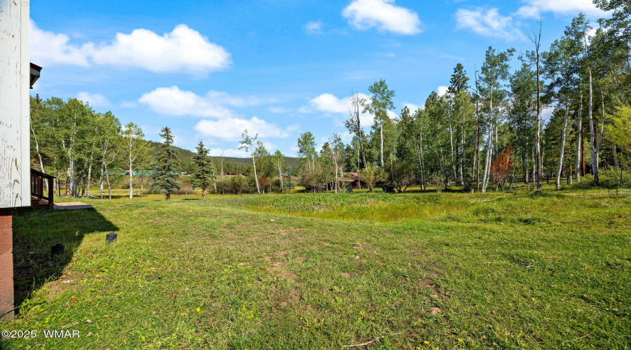 63CountyRd1121-CabinMAIN-Greer-AZ-41