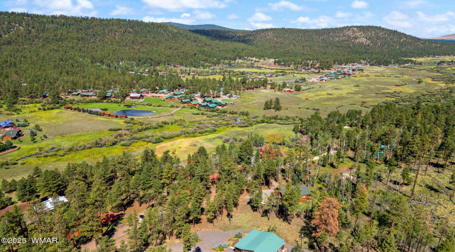 63CountyRd1121-CabinMAIN-Greer-AZ-49
