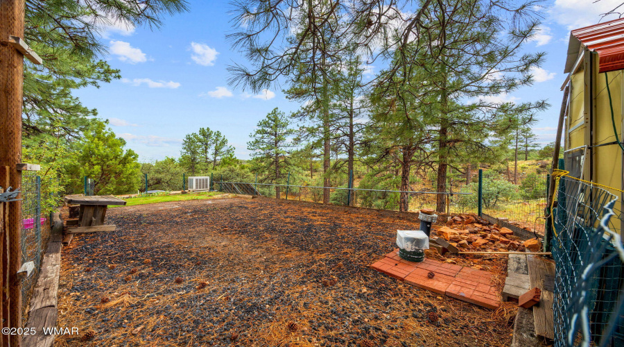 6305Hwy260-ShowLow-AZ-46