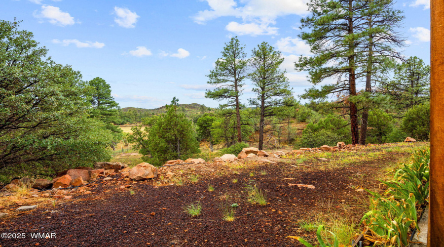 6305Hwy260-ShowLow-AZ-51