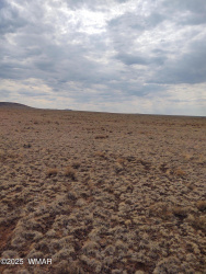 IMG_20250823_152748578