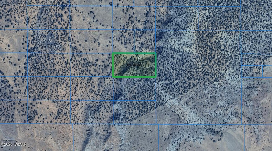 Screenshot 2025-09-09 104235