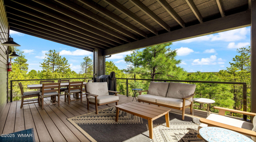 Treetop Views from Guest Deck
