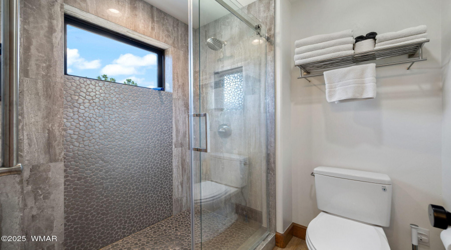 Guest House Primary Shower
