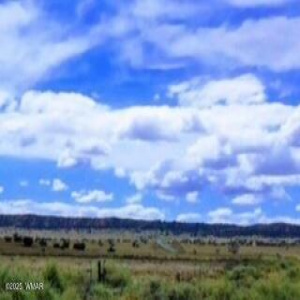 Bell Brand Ranches