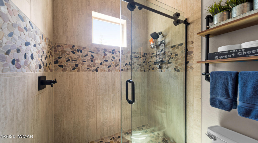 Guest Bath 1
