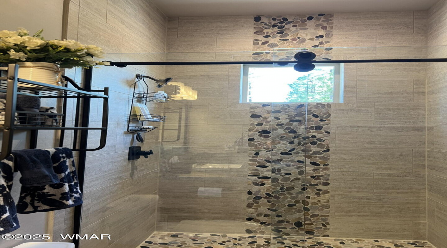 Guest Shower 2