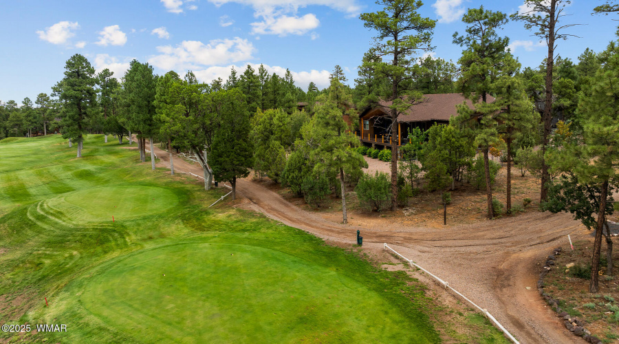 Tee Box View