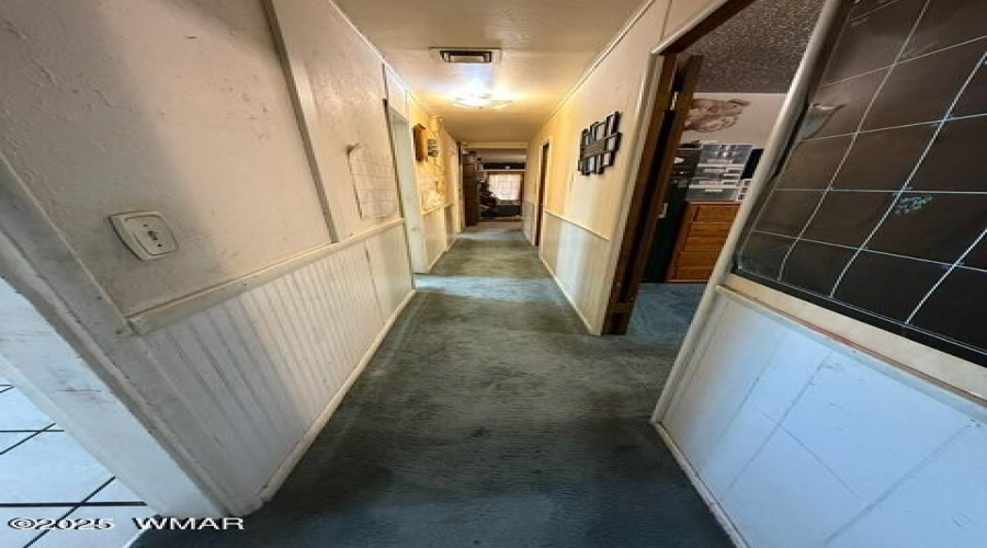 IMG_5767