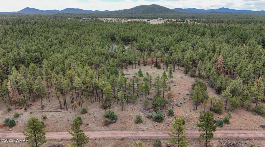 DJI_20250729145258_0042_D
