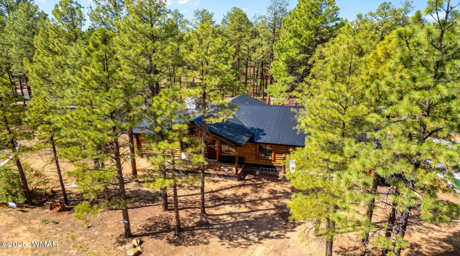 30NBenchCir-ShowLow-AZ-10