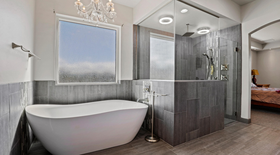 Master Bathroom Soaking Tub &  Separate