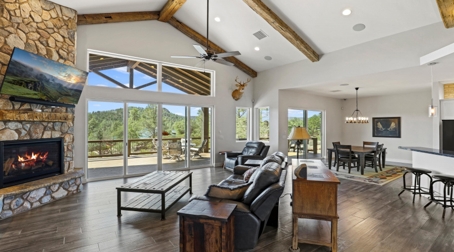 Living Room (1)