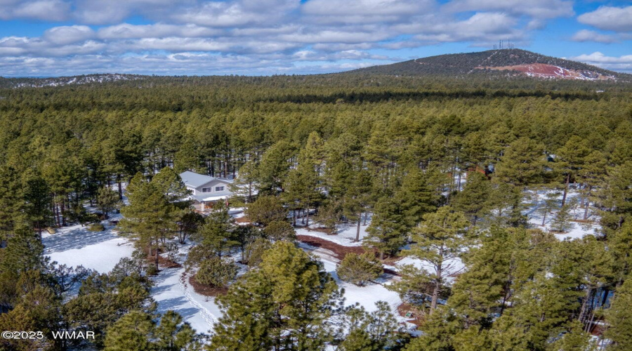 Holly ln overhead