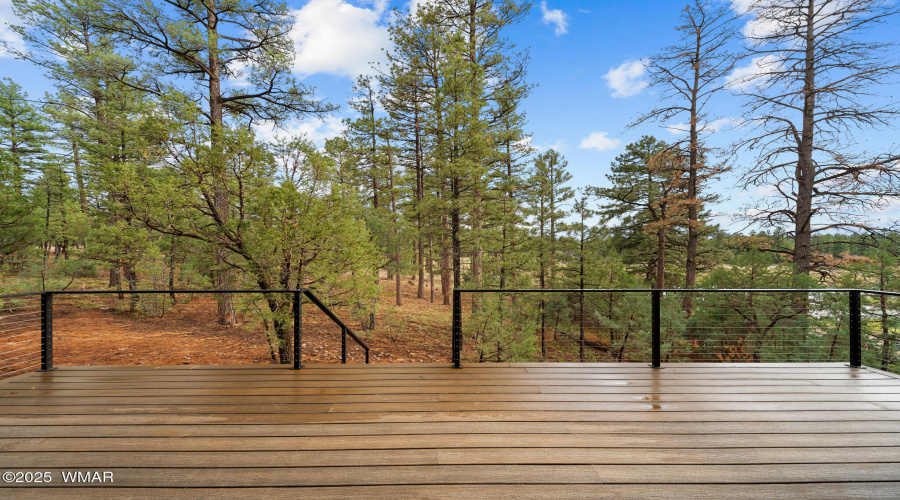 Pine Trees