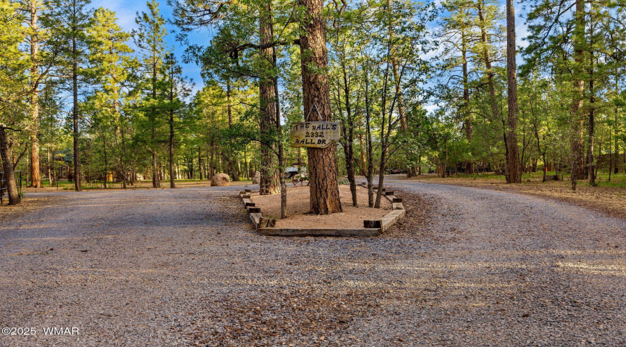 Circular Driveway