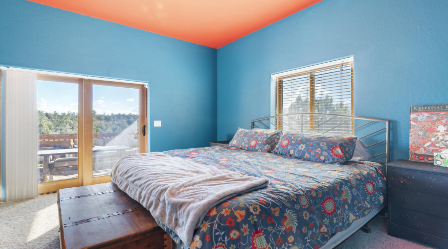 Downstairs Bedroom
