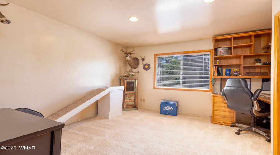 Office/Guest Bedroom