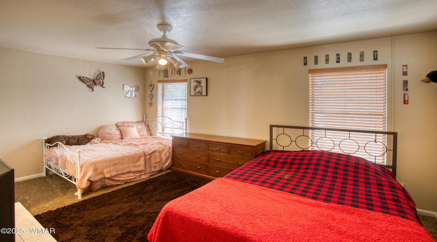 Paxmanphoto_PAX_2786