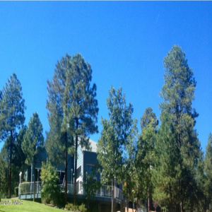 Yard/Home