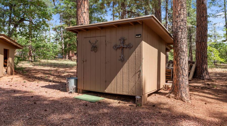 Shed