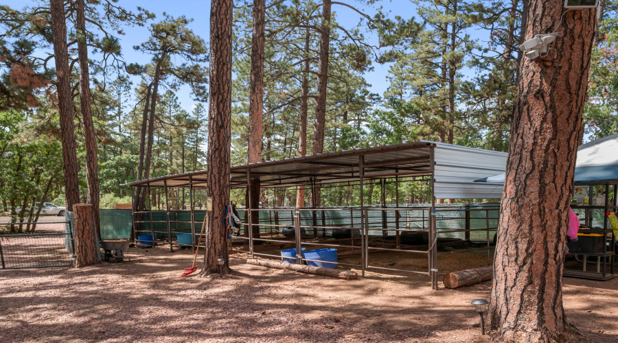 Horse stalls