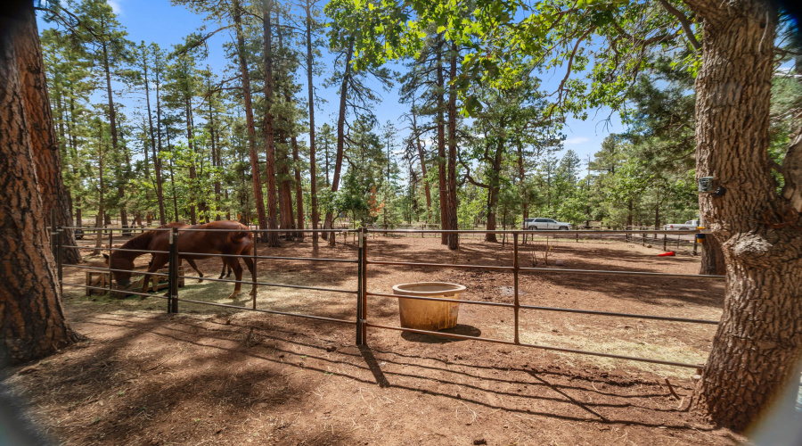 Front horse corrals