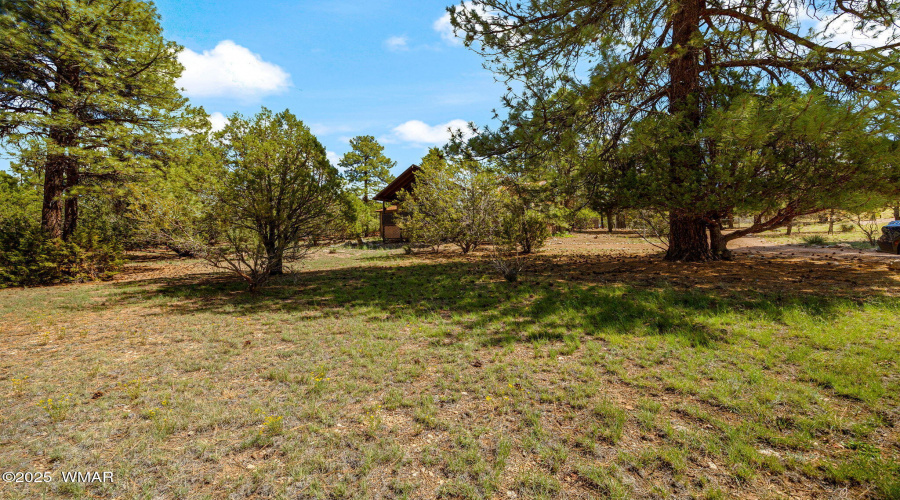 2240RoundaboutWay-HeberOvergaard-AZ-2
