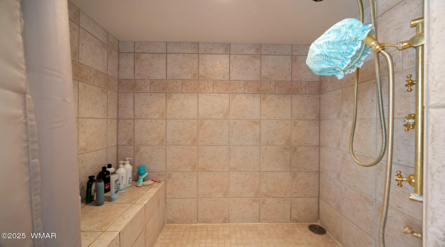 Owner Walk In Shower