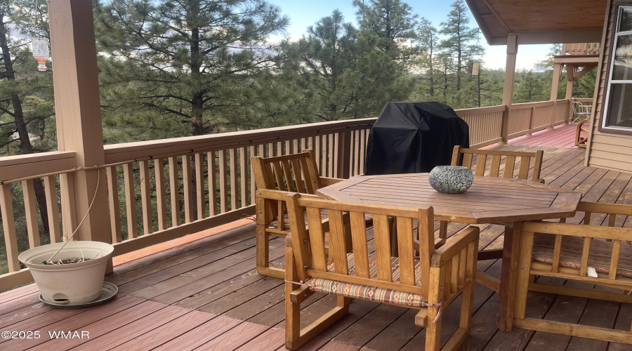Grilling in the Trees