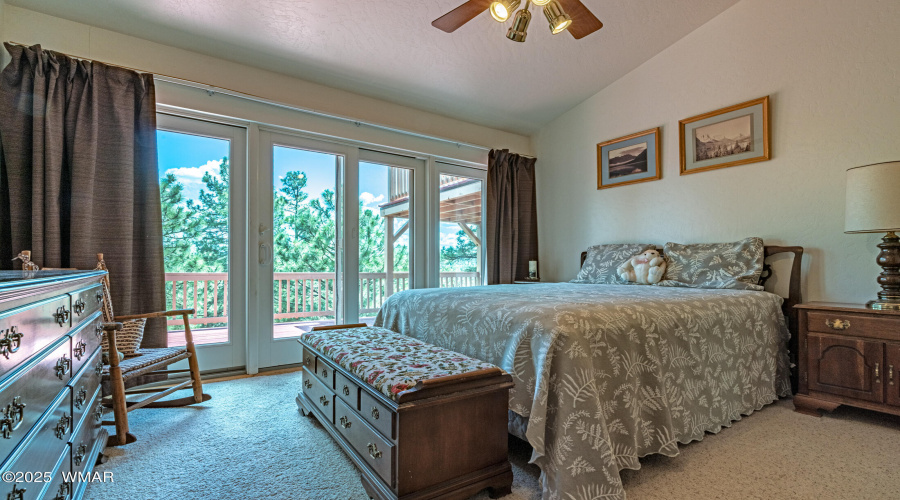 Tree Top Views with Access to the Deck
