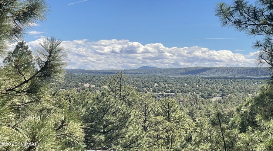 Expansive White Mountain Views