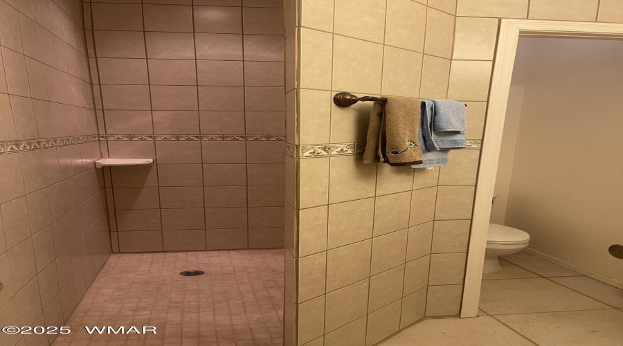 Guest Area Bathroom