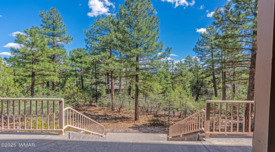 Stairway to Your Back Forest
